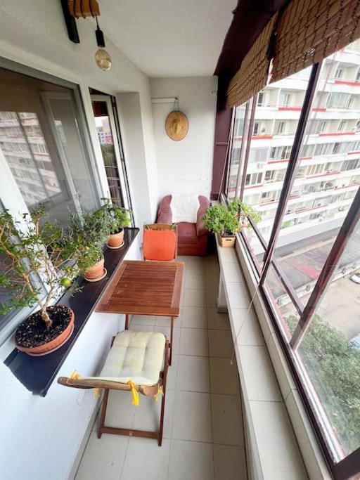 Yellow Sofa 布拉迪斯拉发 外观 照片